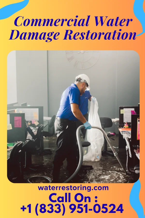 Commercial Water Damage Restoration in Oldsmar, FL