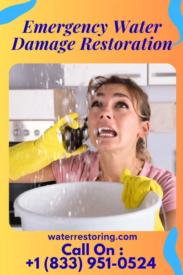 Emergency Water Damage Restoration in Oldsmar, FL