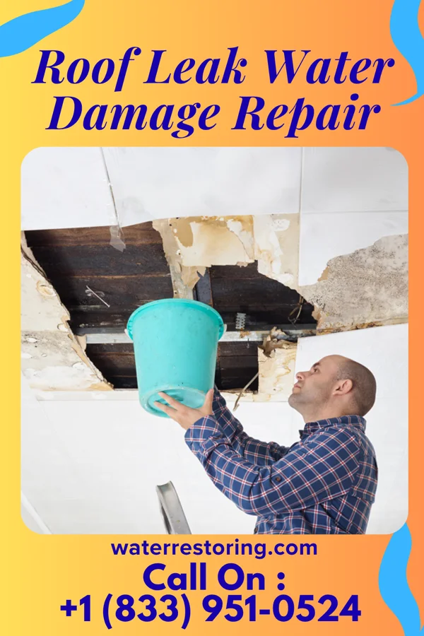 Roof Leak Water Damage Repair in Oldsmar, FL